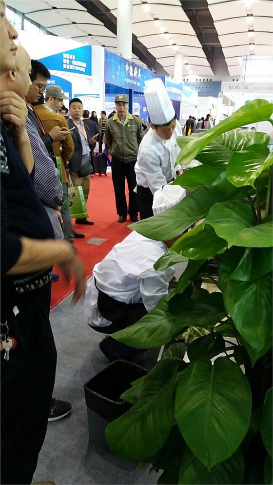 歡迎各界人士前來(lái)參觀大明展位 歡迎各界人士前來(lái)參觀大明展位